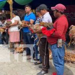 MEFCCA elige a la Gallina Porroca más grande de Chontales Foto: MEFCCA elige a la Gallina Porroca más grande de Chontales / TN8