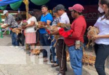 MEFCCA elige a la Gallina Porroca más grande de Chontales Foto: MEFCCA elige a la Gallina Porroca más grande de Chontales / TN8