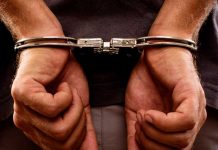 Arrestan en España a un empresario «nopor» de San Diego Arrestan en España a un empresario "nopor" de San Diego