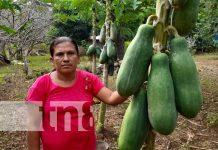 Mujer es un ejemplo a seguir en la comunidad de Río Chiquito en Nandaime Foto: Mujer es un ejemplo a seguir en la comunidad de Río Chiquito en Nandaime / TN8