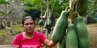 Foto: Mujer es un ejemplo a seguir en la comunidad de Río Chiquito en Nandaime / TN8