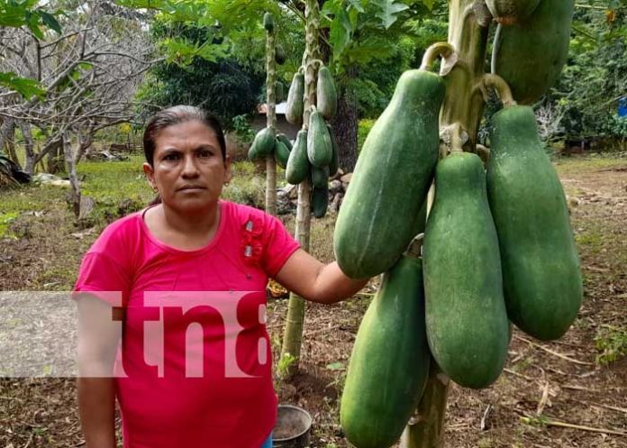 Foto: Mujer es un ejemplo a seguir en la comunidad de Río Chiquito en Nandaime / TN8