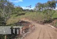 Año nuevo, vida nueva para familias de las comunidades de San Ramón, Matagalpa Foto: Año nuevo, vida nueva para familias de las comunidades de San Ramón, Matagalpa / TN8