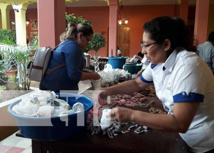 Dinamismo económico en Jinotega con la celebración de la Gritería a María