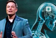 Elon Musk implantará «Neuralink» dentro del cerebro humano en seis meses Elon Musk implantará "Neuralink" dentro del cerebro humano en seis meses