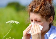 ¡Pilas puestas! Según estudio tener caliente la nariz combate los resfriados Tener calor en la nariz ayuda a combatir resfriados