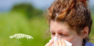 Tener calor en la nariz ayuda a combatir resfriados