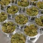 «Vamos a generar muchas ventas» Nueva York abre tienda legal de marihuana Nueva York abre su primer dispensario legal de marihuana