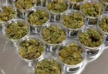 «Vamos a generar muchas ventas» Nueva York abre tienda legal de marihuana Nueva York abre su primer dispensario legal de marihuana