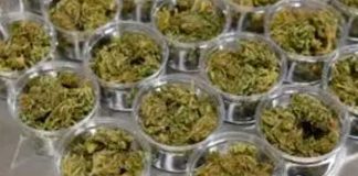 Nueva York abre su primer dispensario legal de marihuana