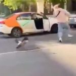 VIDEO: Patos casi le sacan los ojos al intentar darle comida a sus crías Patos atacan a joven que intentó darles de comer a sus crías