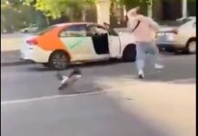 VIDEO: Patos casi le sacan los ojos al intentar darle comida a sus crías Patos atacan a joven que intentó darles de comer a sus crías