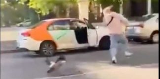 Patos atacan a joven que intentó darles de comer a sus crías