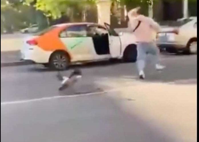 Patos atacan a joven que intentó darles de comer a sus crías