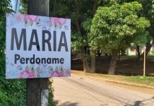 «La embarró chingón» Gasta su aguinaldo para decir ¡María perdóname! Arrepentido llena las calles con rótulos