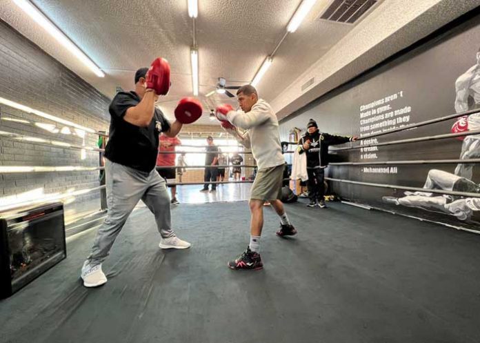 Chocolatito chocolatito, gonzález, boxeo, gallo, estrada,