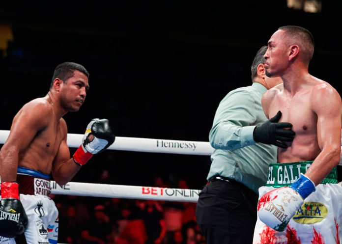 gallo, estrada, chocolatito,