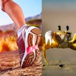 OJO: Caminar como el «cangrejo» (hacia atrás) deja beneficios a tu salud Beneficios para tu salud que deja el caminar hacia atrás