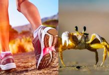 OJO: Caminar como el «cangrejo» (hacia atrás) deja beneficios a tu salud Beneficios para tu salud que deja el caminar hacia atrás