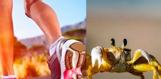 Beneficios para tu salud que deja el caminar hacia atrás