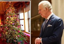 Primer mensaje de Navidad por parte del Rey Carlos III en Reino Unido Foto: Mensaje de Navidad del Rey Charles III / GETTY