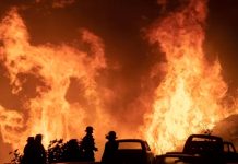 Incendio forestal en Villa del Mar, Chile dejó dos personas muertas