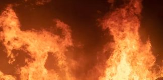 Incendio forestal en Villa del Mar, Chile dejó dos personas muertas