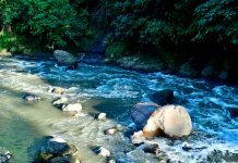 «Nica» murió en Costa Rica tras caer a un río luego de una convulsión mortal Nica murió en Costa Rica tras caer a un río luego de una convulsión mortal