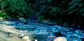 Nica murió en Costa Rica tras caer a un río luego de una convulsión mortal