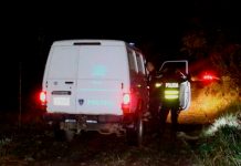 «Nica» falleció después de ser colisionado y atropellado en Costa Rica "Nica" falleció después de ser colisionado y atropellado en Costa Rica