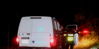 "Nica" falleció después de ser colisionado y atropellado en Costa Rica