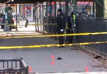 Tiroteo a plena luz del día en El Bronx deja a cuatro personas heridas Tiroteo a plena luz del día en El Bronx deja a cuatro personas heridas