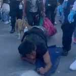 Agradecido por salir de prisión «llega de rodillas hasta los pies de la Virgen» Liberado de la cárcel llegó de rodillas a los pies de la virgen