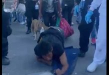 Agradecido por salir de prisión «llega de rodillas hasta los pies de la Virgen» Liberado de la cárcel llegó de rodillas a los pies de la virgen