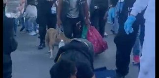 Liberado de la cárcel llegó de rodillas a los pies de la virgen