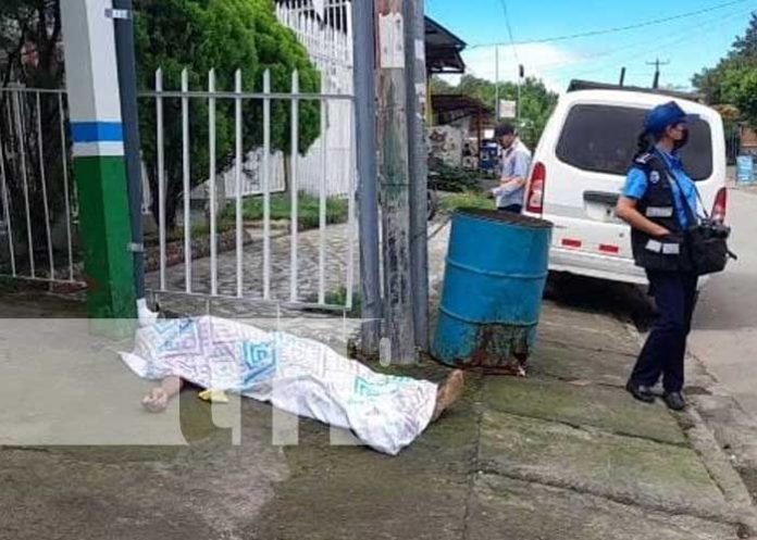 Foto: Encuentran muerto a 