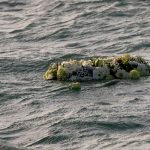 Trágica muerte de un bebé de dos meses tras naufragio en Grecia Trágica muerte de un bebé de dos meses tras naufragio en Grecia