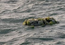 Trágica muerte de un bebé de dos meses tras naufragio en Grecia Trágica muerte de un bebé de dos meses tras naufragio en Grecia