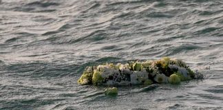 Trágica muerte de un bebé de dos meses tras naufragio en Grecia