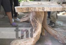 Camañeca: El arte de convertir la “madera muerta” en muebles en Rivas Foto: El arte de la "madera muerta" en Rivas / TN8