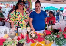 Matagalpa realiza concurso de bebidas y comidas navideñas Matagalpa realiza concurso de bebidas y comidas navideñas