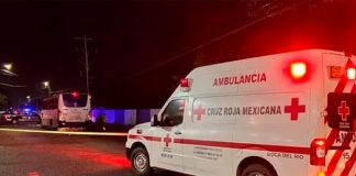 ¡Travesura terminó en tragedia! Niño saca cabeza por ventana de bus y muere