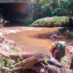 «Se los llevó papá chu»: Mueren 14 personas en Sudáfrica durante un bautizo "Se los llevó papá chu": Mueren 14 personas en Sudáfrica durante un bautizo