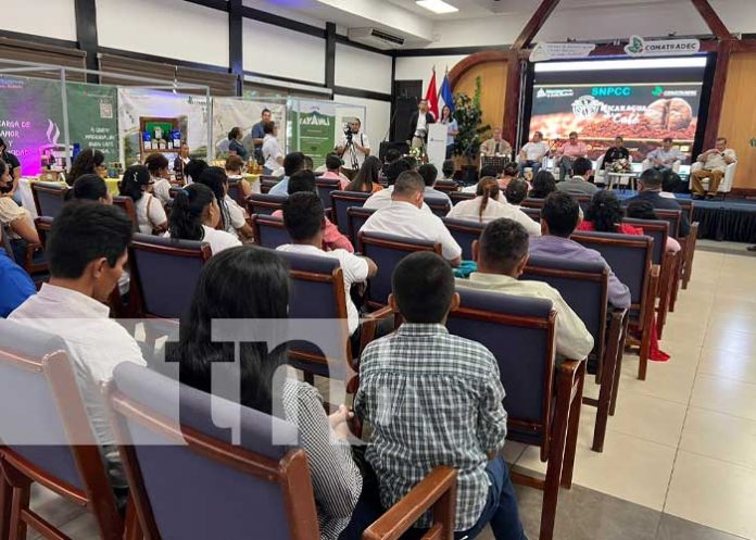 Foto: Festival Nacional del Café en Nicaragua / TN8