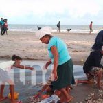 Camarones Jumbo comercializados en mercados de Bilwi