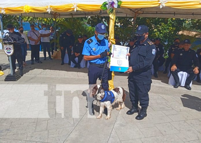 Nuevos policías de Nicaragua se dispondrán a realizar trabajo preventivo