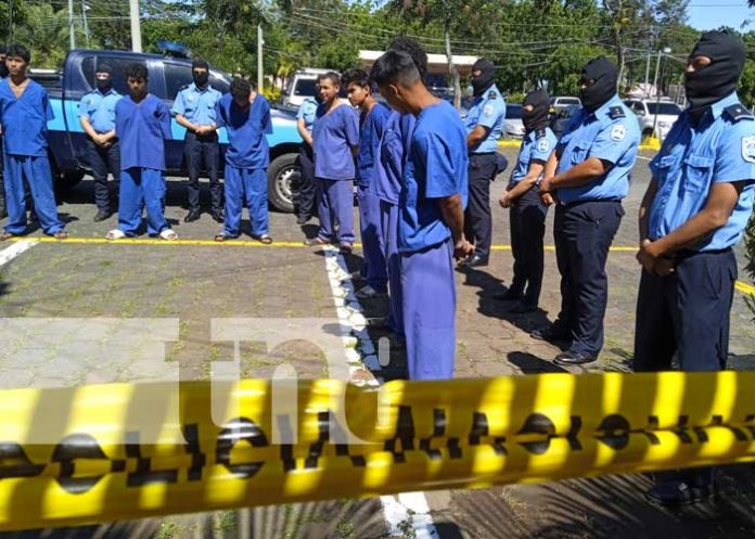 Foto: Captura de sujetos por delitos en Nicaragua / TN8