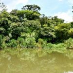 Foto: Referencia de un río en El Cuá, Jinotega / Cortesía