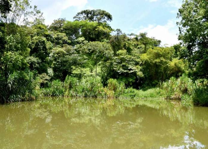 Foto: Referencia de un río en El Cuá, Jinotega / Cortesía