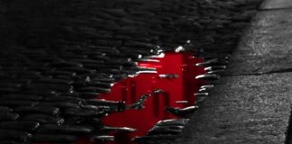 Foto: Imagen representativa de un charco de sangre / GETTY